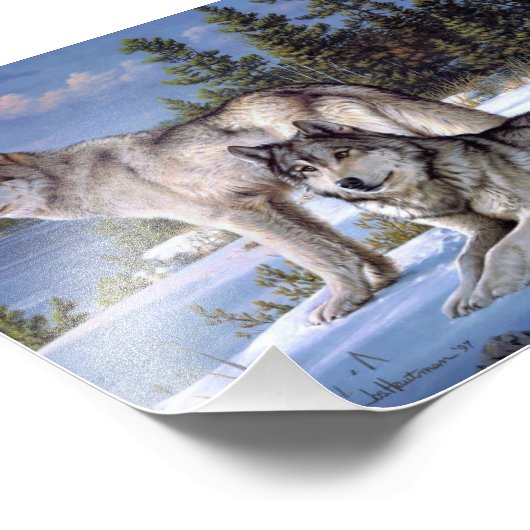 2つの北極の狼絵画の フォトプリント (角)