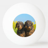 2つの可愛いダシュンドッグスダッケルポートレート写真 卓球ボール (裏面)