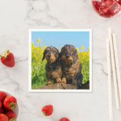 2つの可愛いダックスドッグダッケル友人ペットの写真 スタンダードカクテルナプキン (インサイチュ)