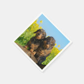 2つの可愛いダックスドッグダッケル友人ペットの写真 スタンダードカクテルナプキン (角)