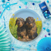 2つの可愛いダックスドッグダッケル友人ペットの写真 ペーパープレート (パーティー)