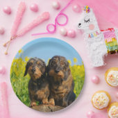 2つの可愛いダックスドッグダッケル友人ペットの写真 ペーパープレート (パーティー)