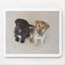 2つの可愛いラブラドール子犬 マウスパッド