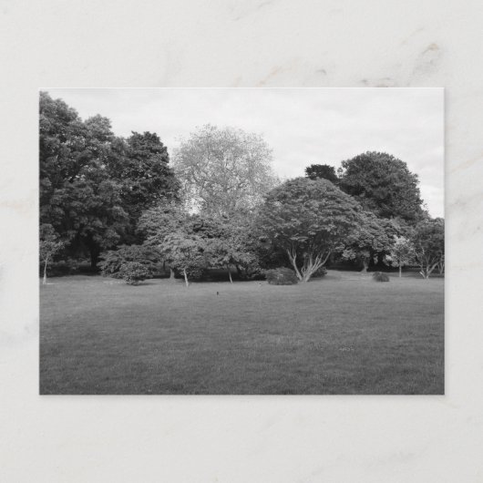 2つの喜び ポストカード (正面)