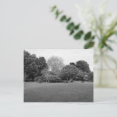 2つの喜び ポストカード (スタンド正面)