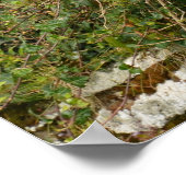 2つの喜び – 壁の上のマグパイ ポスター (角)