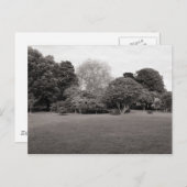 2つの喜び(暖かいトーンの黒と白) ポストカード (正面/裏面)