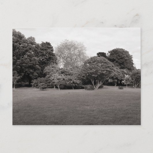 2つの喜び(暖かいトーンの黒と白) ポストカード (正面)