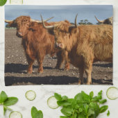 2つの大きな茶色の高地の牛、皿タオル キッチンタオル (折り畳み)