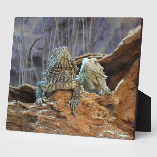 2つの奇妙なトカゲのプラーク フォトプラーク (側面)