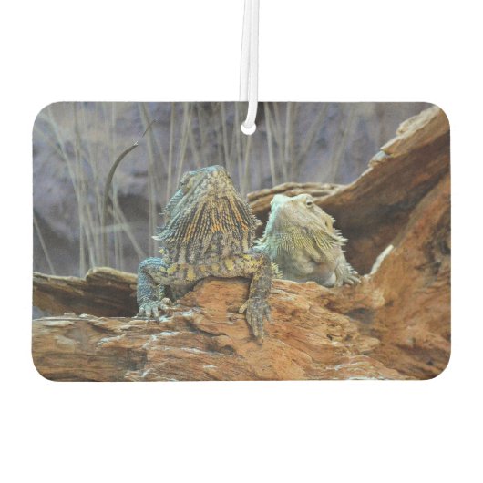 2つの奇妙なトカゲを持つ車の空気フレッシュ カーエアーフレッシュナー (裏面)