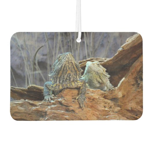 2つの奇妙なトカゲを持つ車の空気フレッシュ カーエアーフレッシュナー (正面)