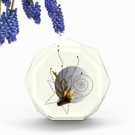 2つの妊娠詩の沿岸星で泳モダンぐ フォトブロック