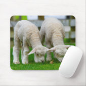 2つの子羊の放牧 マウスパッド (マウス)