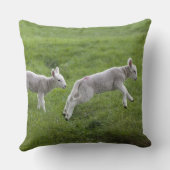 2つの子羊 クッション (裏面)