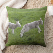 2つの子羊 クッション (ブランケット)