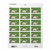 2つの子羊 ラベル (フルシート)