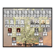 2つの家族の木の花のツリー写真 |ピンクサンセット