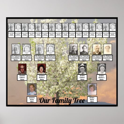 2つの家族の木の花のツリー写真 |ピンクサンセット ポスター (正面)