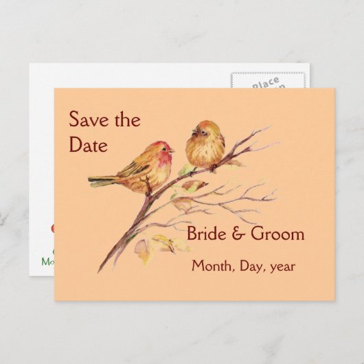 2つの小さな鳥のスズメバチ桃の茶色の素朴自然 案内ポストカード (正面/裏面)
