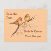 2つの小さな鳥のスズメバチ桃の茶色の素朴自然 案内ポストカード (正面)