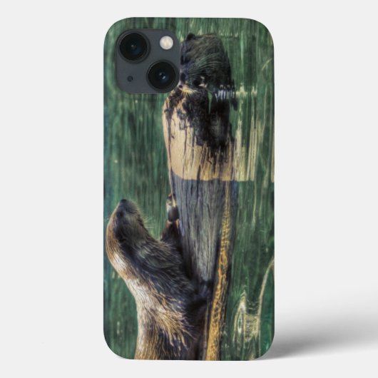 2つの川のカワウソ野生動物アート動物の恋人 Case-Mate iPhoneケース (裏面)
