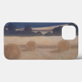 2つの干し草ベール2012 2 Case-Mate iPhoneケース (裏面 (横))