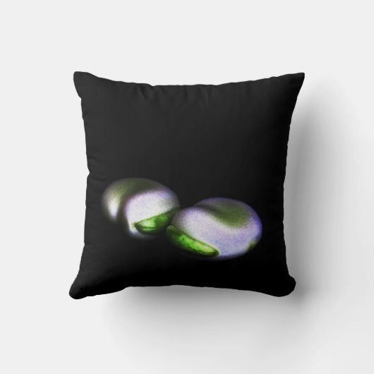 2つの広豆tpcna クッション (裏面)