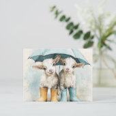 2つの愛らしいベビーヤギが雨の日に ポストカード (スタンド正面)