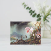 2つの戦うハミングバ絵を描ーズ ポストカード (スタンド正面)