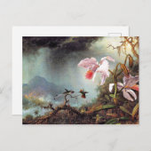 2つの戦うハミングバ絵を描ーズ ポストカード (正面/裏面)