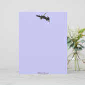 2つの格闘禿イーグルレターヘッドデザイン レターヘッド (スタンド正面)