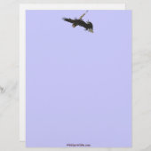 2つの格闘禿イーグルレターヘッドデザイン レターヘッド (正面/裏面)