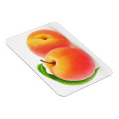 2つの桃 マグネット (右側)