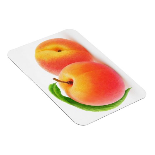 2つの桃 マグネット (右側)