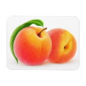 2つの桃 マグネット (横)