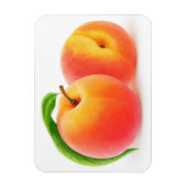 2つの桃 マグネット (縦)