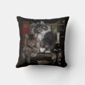 2つの毛皮のメインのクーンの子猫 クッション (裏面)