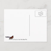 2つの海レイクアットグランドテトンナショナルパーク ポストカード (裏面)