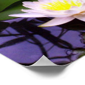 2つの淡水百合 ポスター (角)