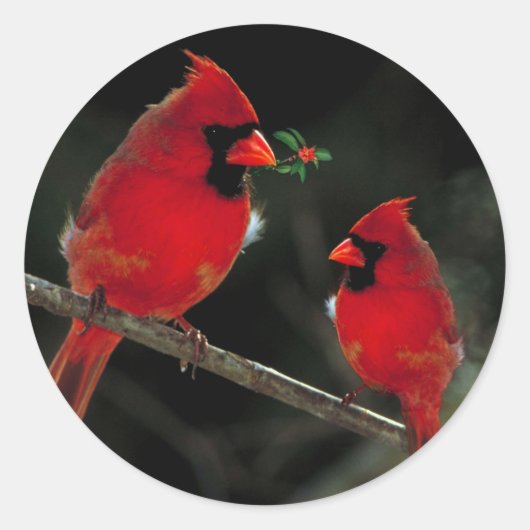 2つの深紅色クリスマス封筒用シールシール ラウンドシール (正面)