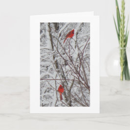 2つの深紅色縁どホワイト5 x7 Christmas Card シーズンカード