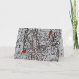 2つの深紅色5 x 7クリスマスカード シーズンカード