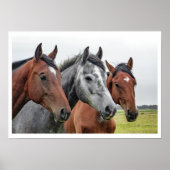 2つの湾と1つの灰色の3つの馬 ポスター (正面)