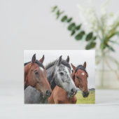 2つの湾と1つの灰色の3つの馬 ポストカード (スタンド正面)