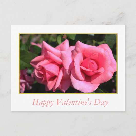 2つの熱いピンクのバラ花バレンタインデー シーズンポストカード (正面)