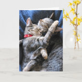 2つの猫ちゃん カード (黄色い花)