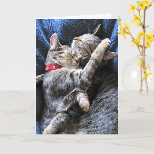 2つの猫ちゃん カード (黄色い花)