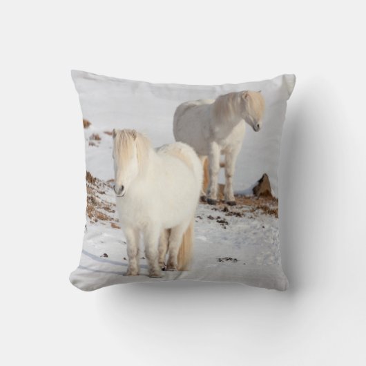 2つの白いアイスランドの馬 クッション (正面)