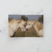 2つの白いスタリオンズヤウン馬グリーティングカード カード (内部)